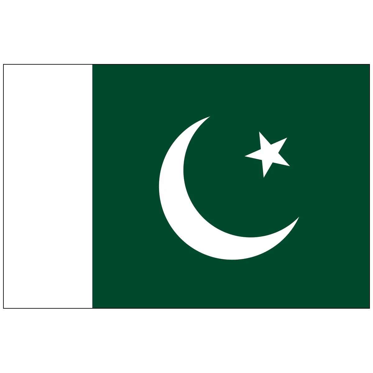 Pakistan Flag 15x22cm - Image 3